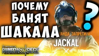 Почему Шакала банят в рейтинге? Ему нужен нёрф? Rainbow Six Siege (Перевод)