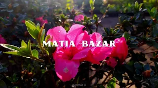 Matia Bazar ; Solo tú [Letra]