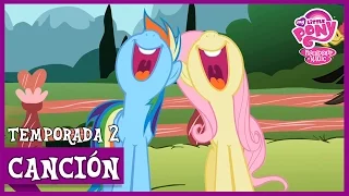 Encontrar Una Mascota (Find A Pet Song) | MLP: FiM [Español Latino]