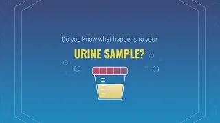 Do you know what happens to your urine sample?