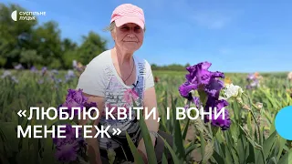 "Люблю квіти, і вони мене теж", — 77-річна лучанка вирощує орієнтовно 400 сортів ірисів