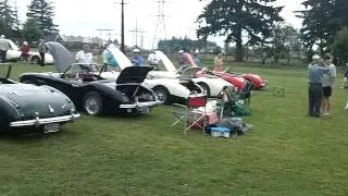 Austin Healey Car Show June 28, 2011