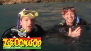 Zoboomafoo 106 - Swimming (Full Episode)