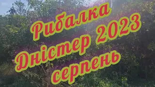 Рибалка Дністер Врублевці 2023 серпень.