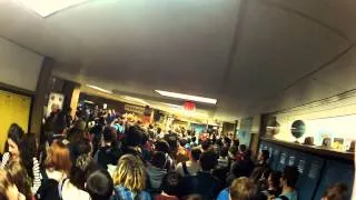 Harlem Shake Flash Mob (HD)