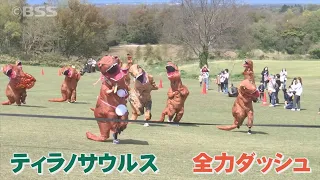 爆走！爆笑？“ティラノサウルス”レース…  これぞまさに競竜！