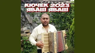 КЮЧЕК 9-КА 2024