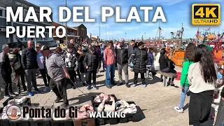 [IMPERDIBLE] PASEO -PUERTO de MAR DEL PLATA -OCTUBRE 2023 #walking TOUR - COSTA ATLÁNTICA ARGENTINA