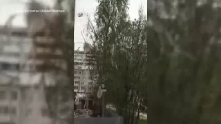 Строители дома в Вологде выкидывают мусор из окон прямо на деревья