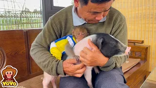 Grandpa loves monkey YiYi and Ủn ỉn so much