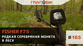 #165 Редкая серебряная монета в лесу. Поиск с Fisher F75 RUS