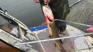 FIRST CATCH OF PIKE
