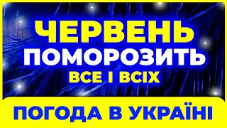 Червень здивує погодою усіх! Погода в червні 2024. Погода на червень 2024 в Україні.