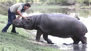 The HORRIFYING Last Moments Of Marius Els: MAULED By A Hippo