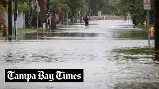 See Idalia flooding around Tampa Bay on Wednesday morning