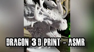 Dragon 3d print and support removal - ASMR