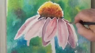 Watercolor Coneflower with Background for Beginners/ Using Color and Value for a Painting That POPS!