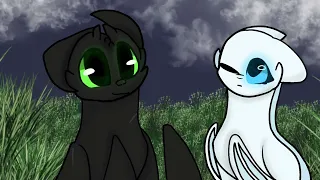 Toothless x Lightfury by Snowy the dragon animations