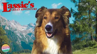 LASSIE'S GREATEST ADVENTURE - FREE FULL FAMILY MOVIE 🎥🐶