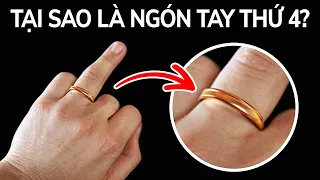 99 sự thật trả lời tất cả câu hỏi "Tại sao??" của bạn Câu hỏi