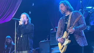 The Black Crowes - Thorn in My Pride (Houston 04.05.24) HD