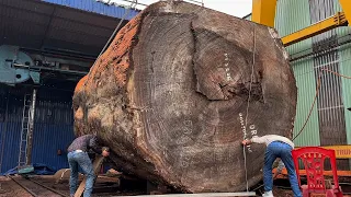 The Largest Wood Project On the Planet // The Last Remaining Tree After The Ice Age