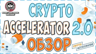 Crypto Accelerator 2.0 - Полный обзор обновленного ACC // Инструкция по заработку для новичков