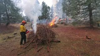 A Strategic Partnership to Restore Ecosystems and Enhance the Tribal Economy