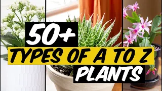 51 Types of A to Z Plant  - The Planet of Greens