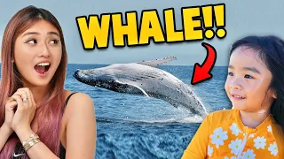 We Found a Whale in Gold Coast! (Australia)