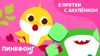 В прятки с Акулёнком | Песни про Животных | Пойте с Акулёнком | Пинкфонг Песни для Детей