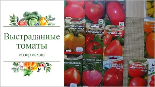 "Выстраданные" сорта томатов для теплицы 2018г.