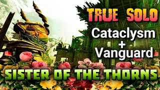 True Solo Cataclysm + Vanguard Halescourge Sister of the Thorns | Warhammer: Vermintide 2