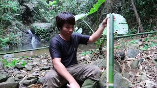 90 Dias de Sobrevivência - Bushcraft: Sobrevivência Sozinho na floresta tropical