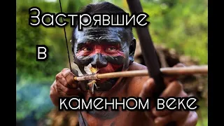 Застрявшие в каменном веке. Неконтактные племена.