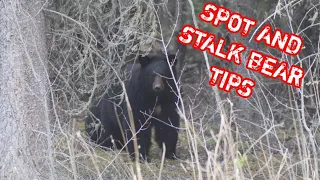 { HOW TO } Spot and Stalk Bear Hunting Tips and Tricks