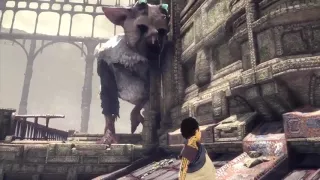 Literally just Ambient Trico Noises