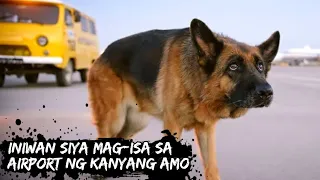 Ang ASO na INIWAN Mag-isa sa AIRPORT ng kanyang AMO | A Dog Named Palma (2021) | Tagalog Movie Recap