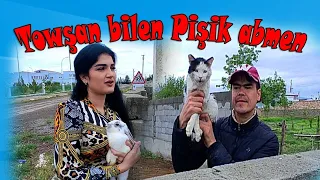 Turkmen prikol 2022. Towşan-pişige abmen🤣🤣🤣 myrat molla