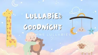 LULLABY & GOODNIGHT (BRAHM'S LULLABY)  #goodnightsleeptightdontletthebedbugsbite