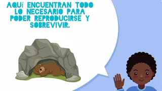 diferencia entre hábitat y ecosistema (video educativo )