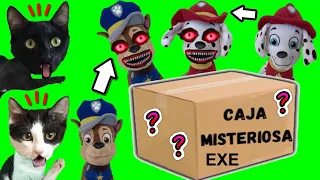 Abrimos la caja secreta y misteriosa de paw patrol EXE / Videos de gatos Luna y Estrella