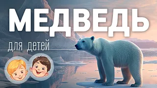 Белый медведь. Видео про животных для детей 3+