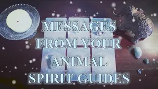 PICK A CARD 🔮 Messages from your animal spirit guides ✨