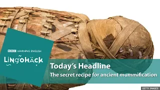 The secret recipe of ancient mummification: Lingohack