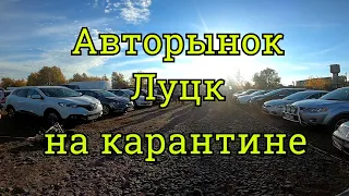 Авторынок Луцк, обзор цен, подбор авто , покупаем Гольф 7