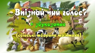 Дидактична гра "Впізнай чий голос?" Свійські тварини та птахи (звукозапис)