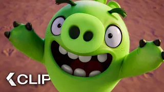 The Piggies Are Here! Scene - The Angry Birds Movie (2016)