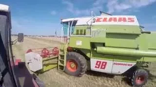 Żniwa 2015 - Jęczmień | Claas Dominator 98 [GoPro] ㋡