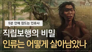 [수면다큐] 10분 만에 잠드는 인류 생존의 비밀 | 인류는 왜 우리만 생존했을까 | 오디오북